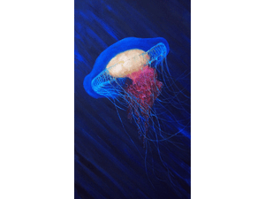 Arctic Jellyfish